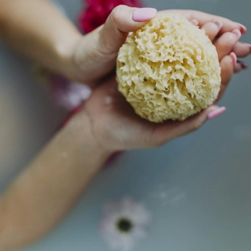 Hands holding a natural sea sponge over water surrounded by flowers for a relaxing spa experience.