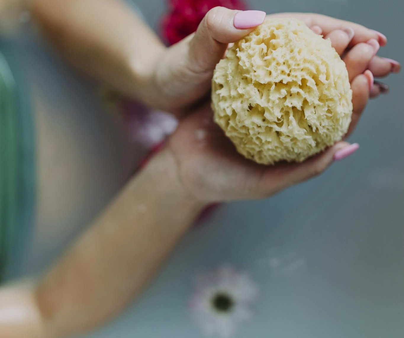 Hands holding a natural sea sponge over water surrounded by flowers for a relaxing spa experience.